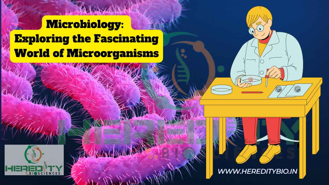 You are currently viewing Microbiology: Exploring the Fascinating World of Microorganisms and Their Diverse Structures