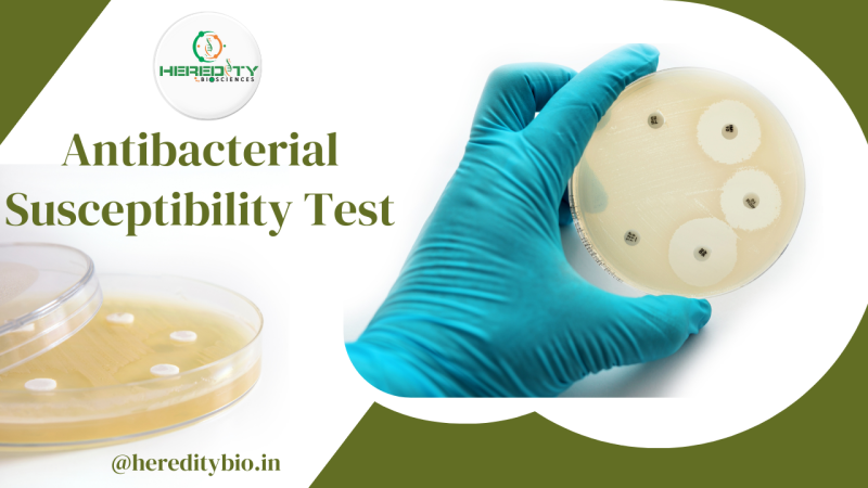 Evaluating Antibacterial Activity Using the Well Diffusion Method: A ...
