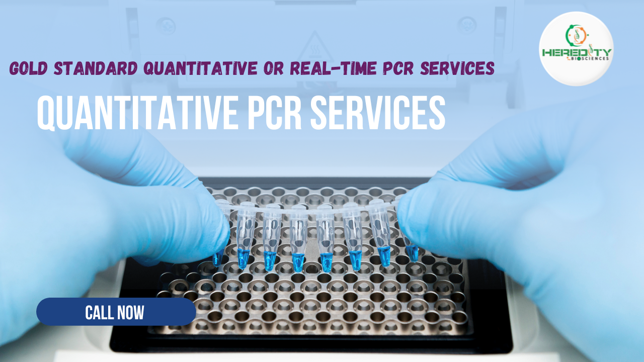 You are currently viewing Gold Standard Quantitative Or Real-Time PCR Services