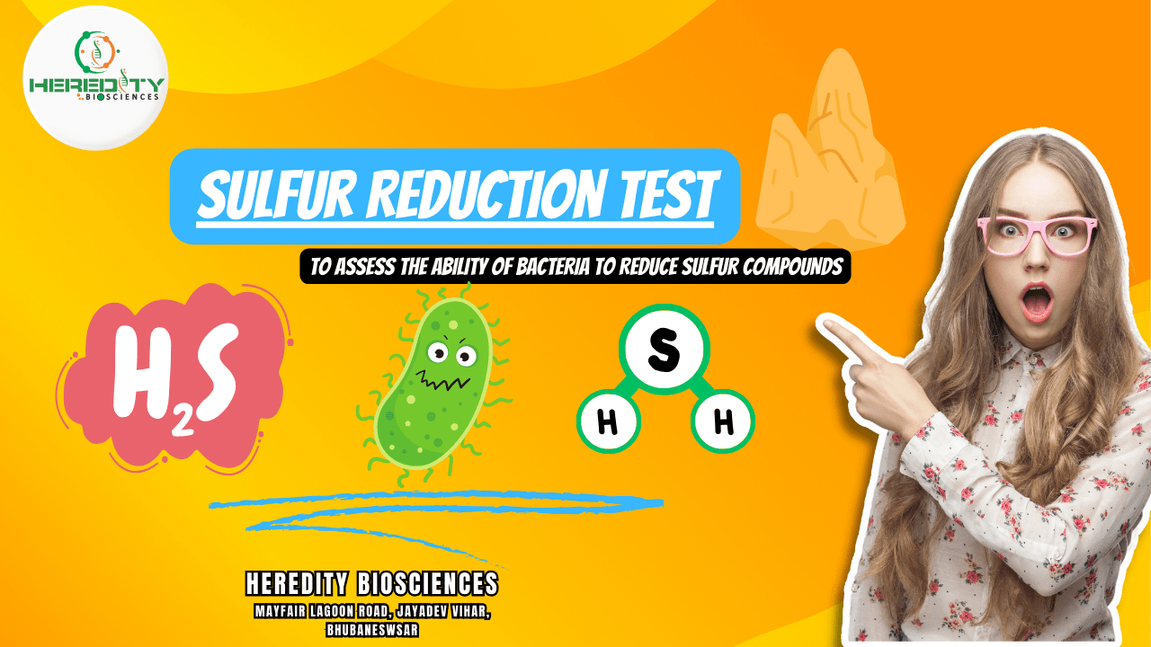 You are currently viewing Unlocking the Secrets of Microbial Metabolism: The Sulfur Reduction Test