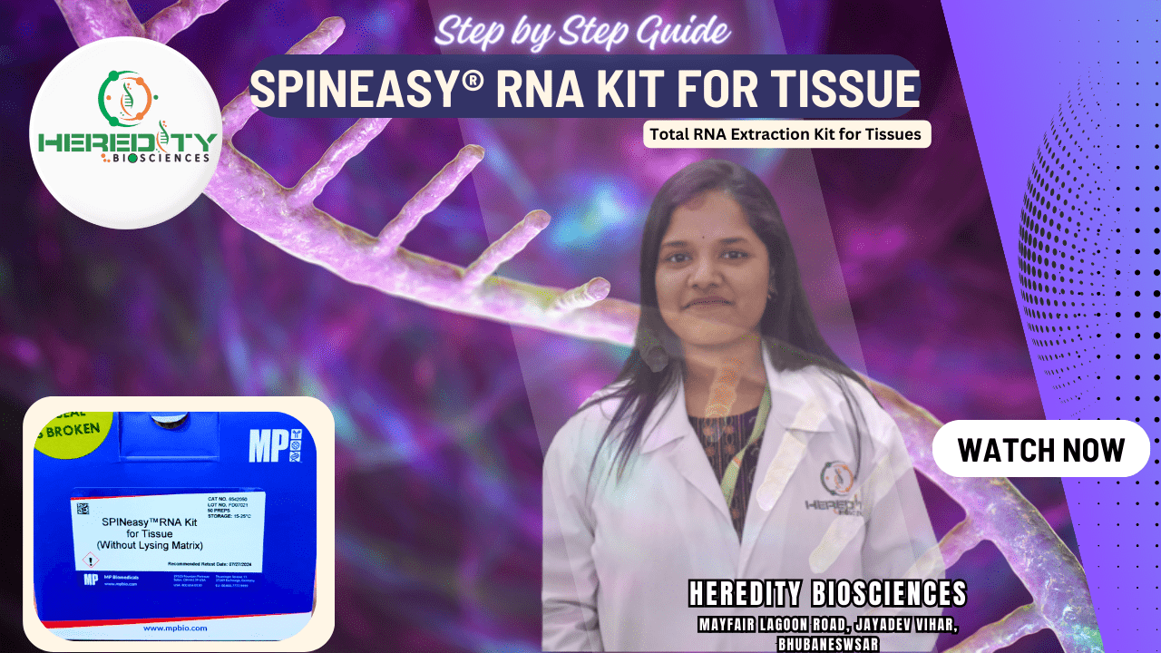 You are currently viewing RNA isolation by MP Biomedical Kit | Step By Step Procedure | SPINeasy® RNA Kit for Tissue