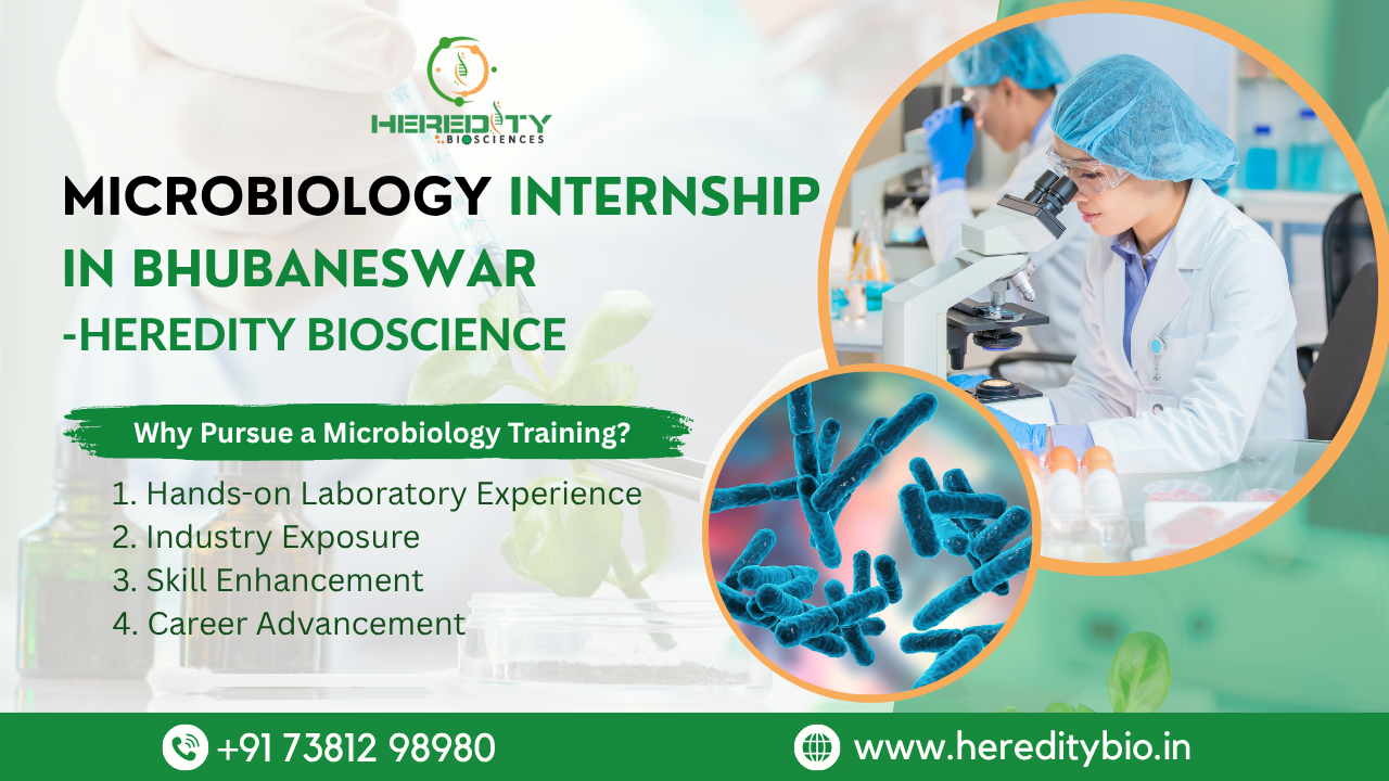You are currently viewing Microbiology Internship in Bhubaneswar: A Comprehensive Guide
