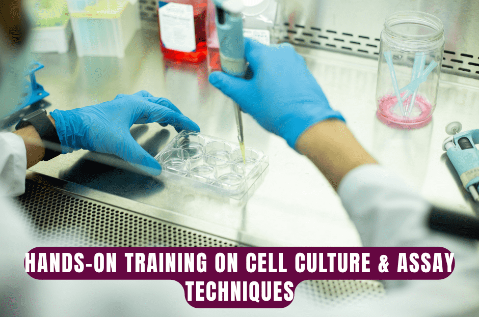 You are currently viewing Hands-On Training on Cell Culture and Assay Techniques: Empowering the Next Generation of Life Science Innovators